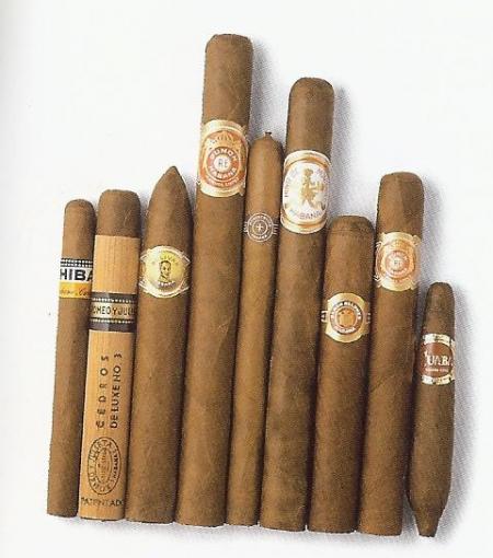 Diff&eacute;rents module et terroir